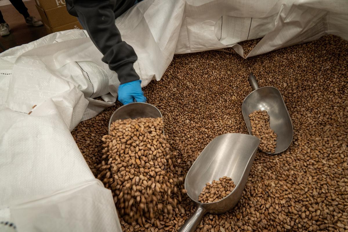 Pinto beans, an example of an affordable pantry staple to create easy, healthy meals on a budget.