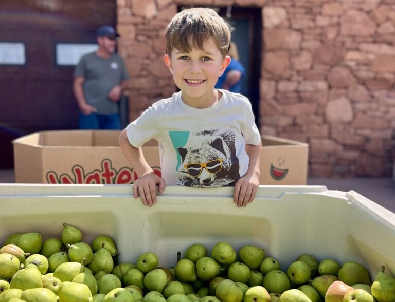 child standing in front of a large box of pears
