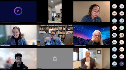 screen capture of zoom call